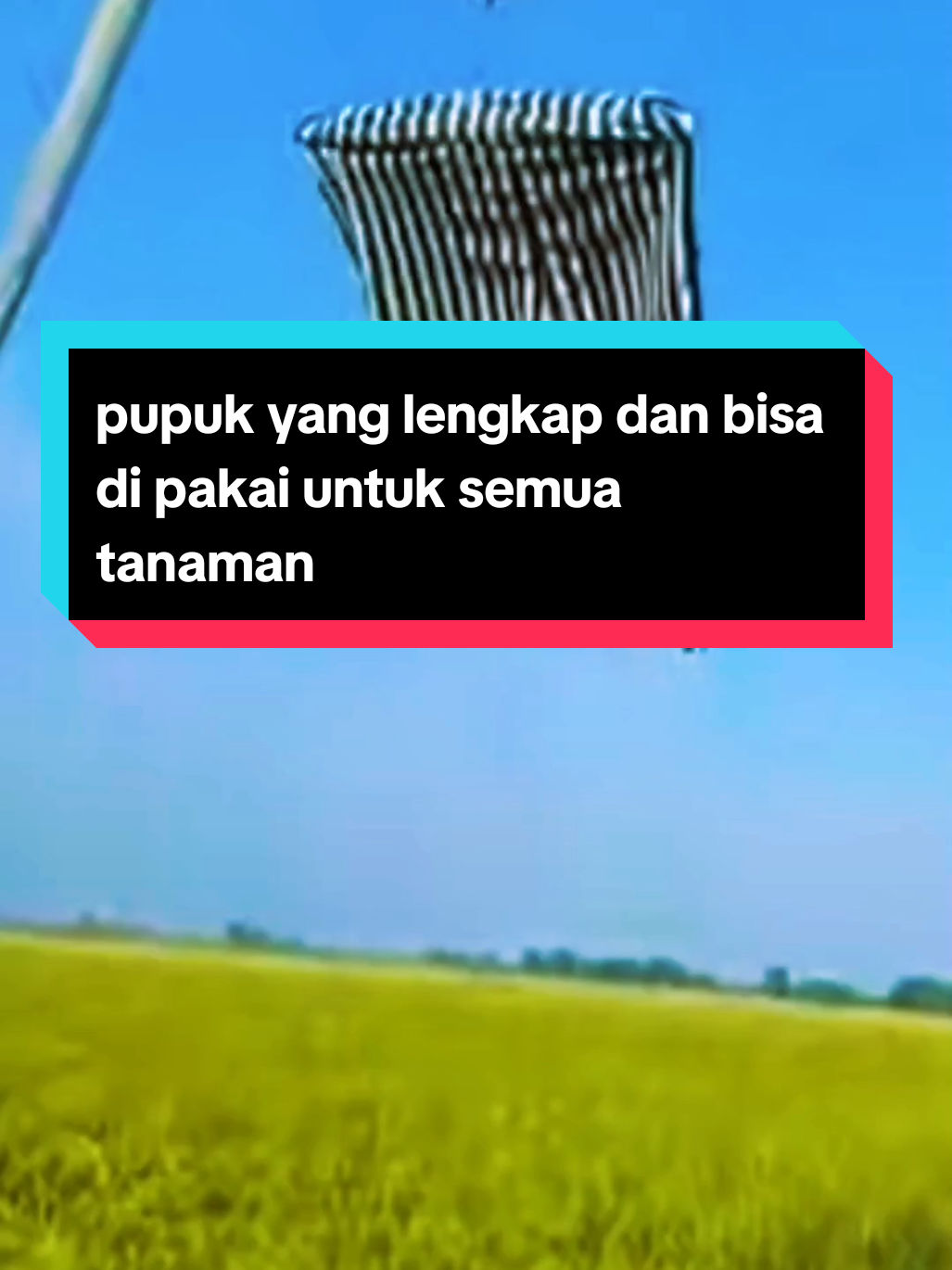 cara yang ampuh untuk mengusir hama burung pipit dengan cepat,dan untuk tanaman menjadi subur#pupukterbaik #pupukbiomes #pupuktanaman #petaniindonesia🇮🇩🇮🇩🇮🇩🌿🌿 #creatorsearchinsights 