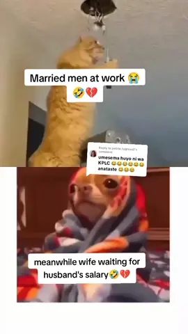 Replying to @petite_tygress2 