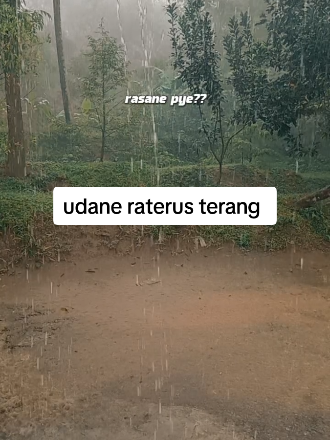 nek pas lagi susah rasane piye ,,,#katakata #hu #hujan #fyppppppppppppppppppppppp 