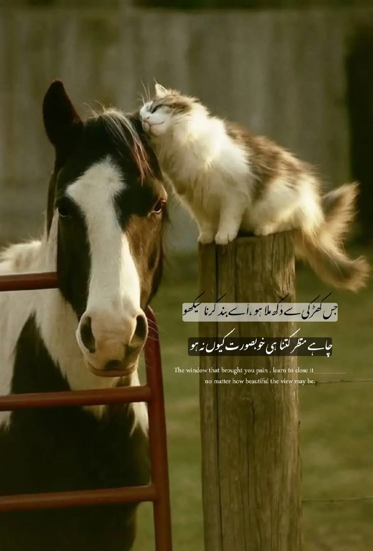 جس کھڑکی سے دُکھ ملا ہو، اُسے بند کرنا سیکھو — کیونکہ کچھ لوگ دکھ کے ایسے منبع ہوتے ہیں جو مسکراہٹ کے پردے میں چھپے ہوتے ہیں۔ بے وفا شخص ہمیشہ لفظوں سے جادو بُن کر دل جیتتا ہے، مگر اس کے وعدے خالی ہوتے ہیں۔ وہ محبت کے نام پر کھیلتا ہے، اور جب دل پوری طرح یقین کر لیتا ہے، تب وہی شخص رُخ موڑ لیتا ہے۔ اُس کی باتوں میں شیرینی ہوتی ہے مگر ارادے کانٹے رکھتے ہیں۔ ایسے لوگ تمہیں خواب دیتے ہیں، پھر اُنہیں خود اپنے ہاتھوں سے توڑ دیتے ہیں۔ وہ تمہیں یقین دلاتے ہیں کہ تم ان کی زندگی ہو، مگر جب وقت بدلتا ہے تو وہ تمہیں ایسے بھول جاتے ہیں جیسے کبھی جانے پہچانے ہی نہ تھے۔ ایسے شخص کو یاد رکھنا اپنے زخموں کو تازہ رکھنا ہے۔ جو رشتے سکون کے بجائے درد دیں، اُنہیں نبھانا خود پر ظلم ہے۔ حقیقت یہ ہے کہ کچھ رشتے صرف وقت کے دھوکے ہوتے ہیں، محبت نہیں۔ وہ تمہیں روشنی کا وعدہ کرتے ہیں مگر اندھیرا دے جاتے ہیں۔ اس لیے اُس کھڑکی کو بند کر دو جہاں سے دُکھ آیا، چاہے منظر کتنا ہی خوبصورت کیوں نہ ہو۔ کیونکہ کبھی کبھی خوبصورت چہرے سب سے گندے ارادے رکھتے ہیں۔ سکون تب آتا ہے جب تم یہ مان لو کہ کچھ خوبصورت مناظر صرف دکھ چھپانے کے لیے ہوتے ہیں۔ دل کا اطمینان اسی میں ہے کہ تم اُن لوگوں سے منہ موڑ لو جو تمہیں بار بار توڑ کر بھی شرمندہ نہیں ہوتے۔ یہی سچ ہے، یہی نجات۔