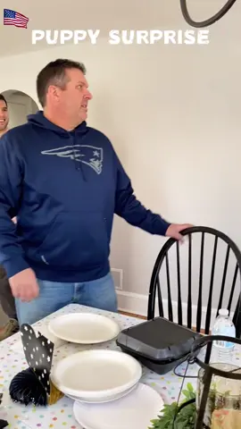 Puppy surprise #surprise #puppy #heartwarming #surprisegift 
