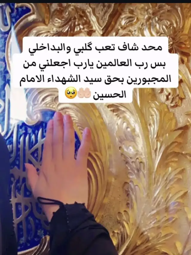 #ياحسين❤️😭 #يامولاي_ياحسين 