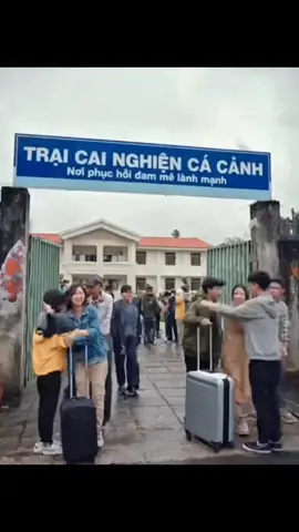 Cai nghiện cá cảnh đi ae, cho đời bớt khổ anh em ơi 🤣😀🏝 #hoca #cacanh #thuysinhbenvung #caythuysinh #CerealCerdik 