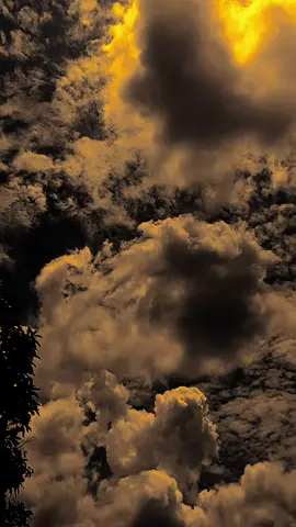 لا اريد ان اكون قدوة لأحد. سأعيش حياتي وفقا لقدرتي، دون ان اجبر نفسي على ان اكون محبوبا، ولا اهتم ان كنت مكروها 