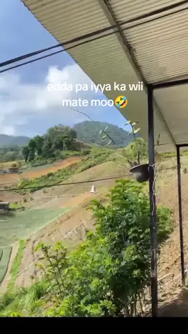 danggi dikka paten na wii🤣#soundviral #fypviralシ 