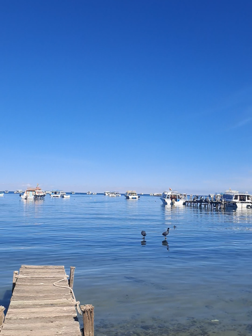 paz#paz #mental #lago #titicaca #lugares 