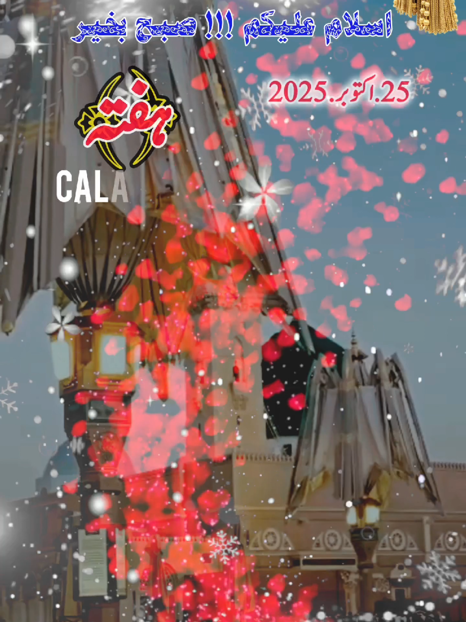 Saturday status notification 25/ October/2025 status notification Islamic video status notification🔔 #trending #foryoupage #fypジ #fypジ #tiktok @TiktokPakistanOfficial 