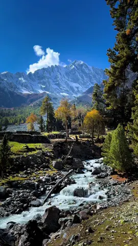 ہم خزاؤں میں ملنے والے ہیں 🕊️🕊️ #usays_muzzu #naturevibes #viralvideo #gilgitbaltistan #khaltarovalley 