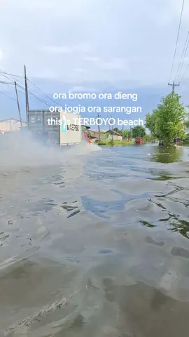 pantai terboyo #promomakangajian #banjirsemarang #semarang24jam #fypシ゚viral #fypage 
