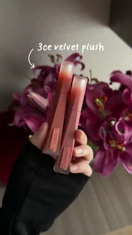 thử màu mận khói đi ạaa>< mùa tôi yêu đã tới rùi #velvetplush #fyp  #HợpTácCùng3CE   #3andChịEm