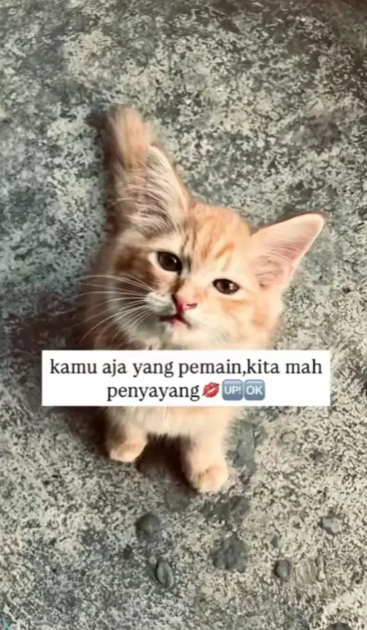 #likeeeeeeee #fypage 