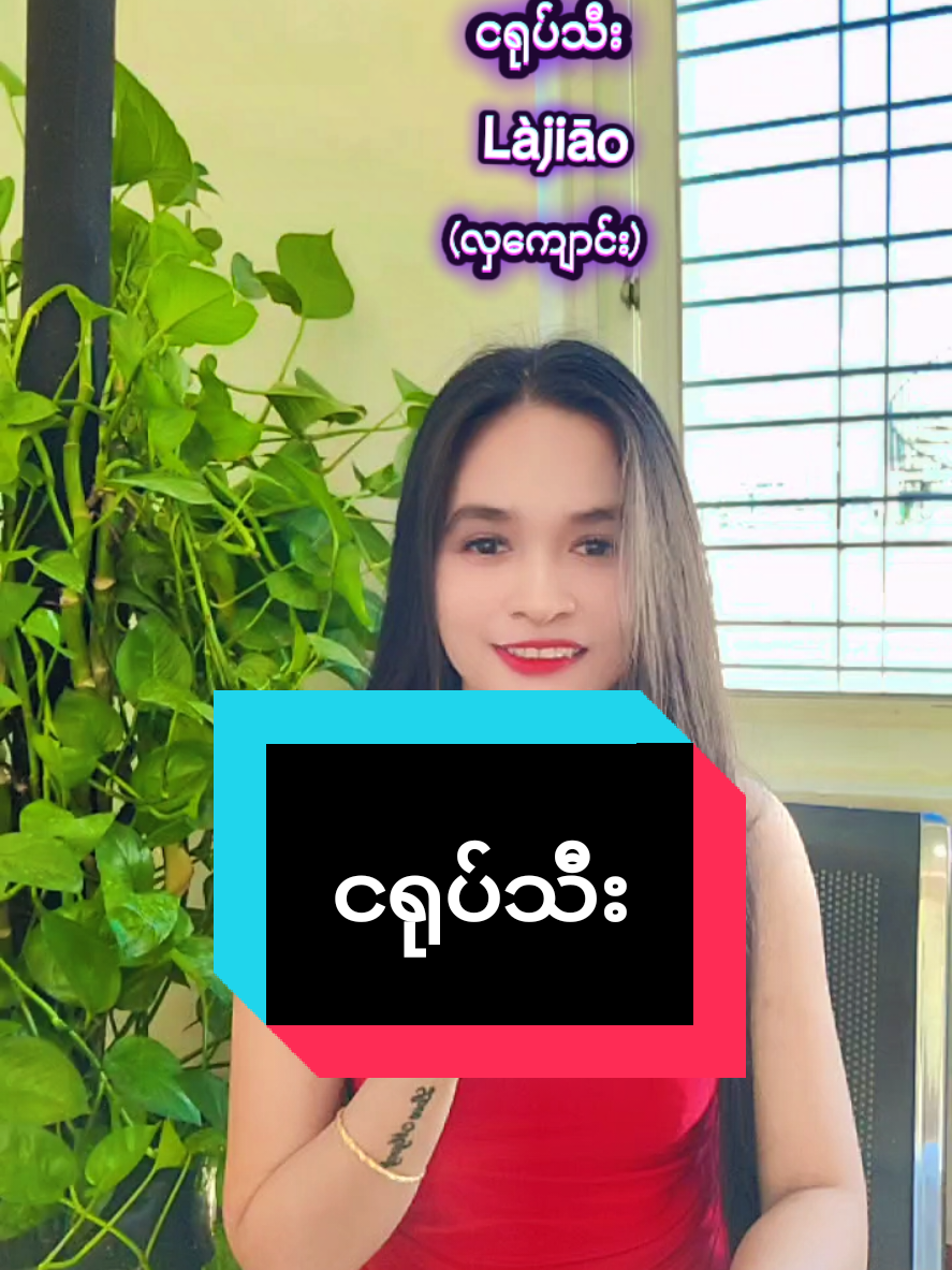 #views #myanmartiktok🇲🇲🇲🇲 #foryouofficial #mandalay #တရုတ်စကားပြော 