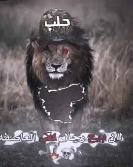 حلب🔥💀 . .#العقرب #العقرب🇸🇾🦂 #العقرب🦂🇸🇾 #فيديو_ستار🚸🔥 #العقرب_الحلبي #العقرب42 #عقرب_حلب #حلب_الشهباء 