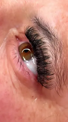#lash #2dlash #lashmaker #eyes #lashextensions 