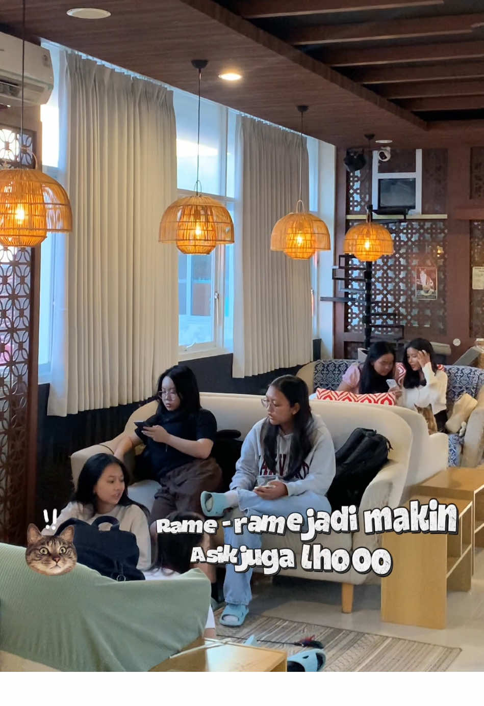 Perhatian perhatian 😾 Tontn video sampe abis yaaaa, apalagi buat kamu yang masih pelajar 😻 #catcafe #catsoftiktok #cafebali #bali 