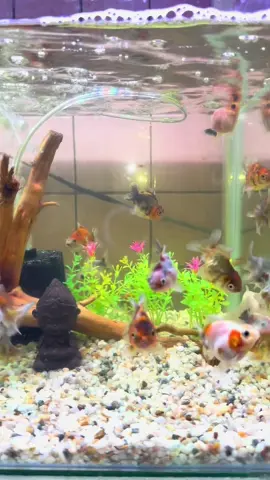 #📍ស្ទឹងមានជ័យចាស់❤️ 