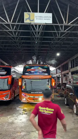 Ego wong tuo 36 not by @Mr. OkDj @🇰 🇮 🇳 🇬  🇱 🇪 🇴 @johan_dutasayur @Bagazt Putra #dutasayurnarendra #telolet #sukabusindonesia #dutasayurtrans 