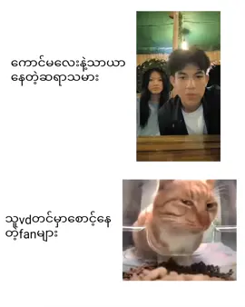 မပြောသေးဘူး😒 #fyppppppppppppppppppppppp #kaido #fypviralシ #meme 