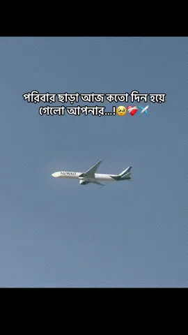 পরিবার ছাড়া আজ কতো দিন হয়ে গেলো আপনার…!🥹❤️‍🩹✈️#sahed777_ff #sahedkuwait #sahed777_ #fpy 