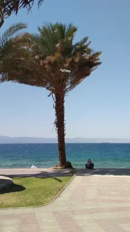 #CapCut #اشهد_ان_لا_اله_الا_الله_وان_محمد_رسول_ #اللهم_صلي_على_نبينا_محمد #اكسبلورexplore #استغفر_الله 