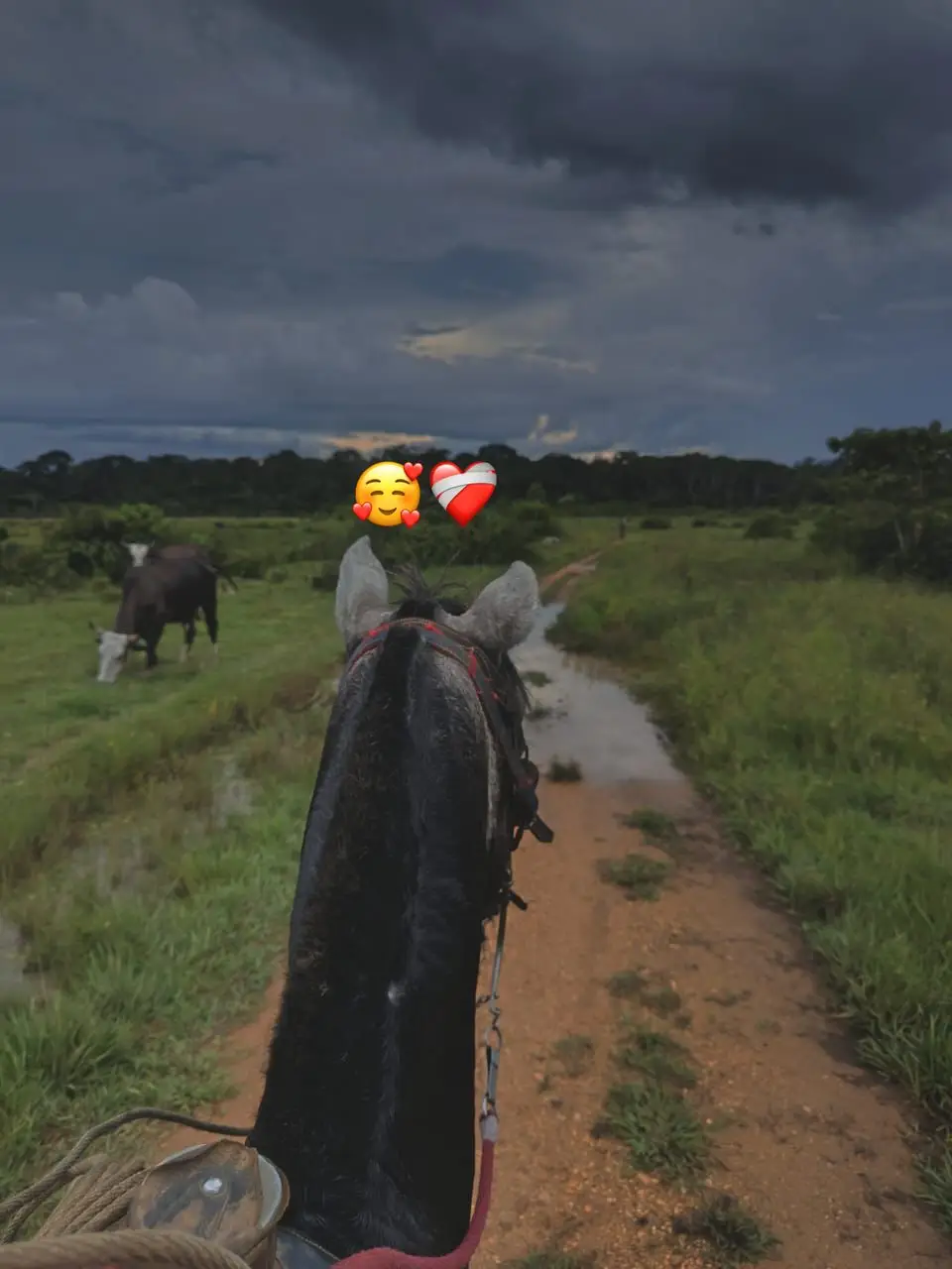 #💚 #videoviral #caqueta_colombia🇨🇴🇨🇴 