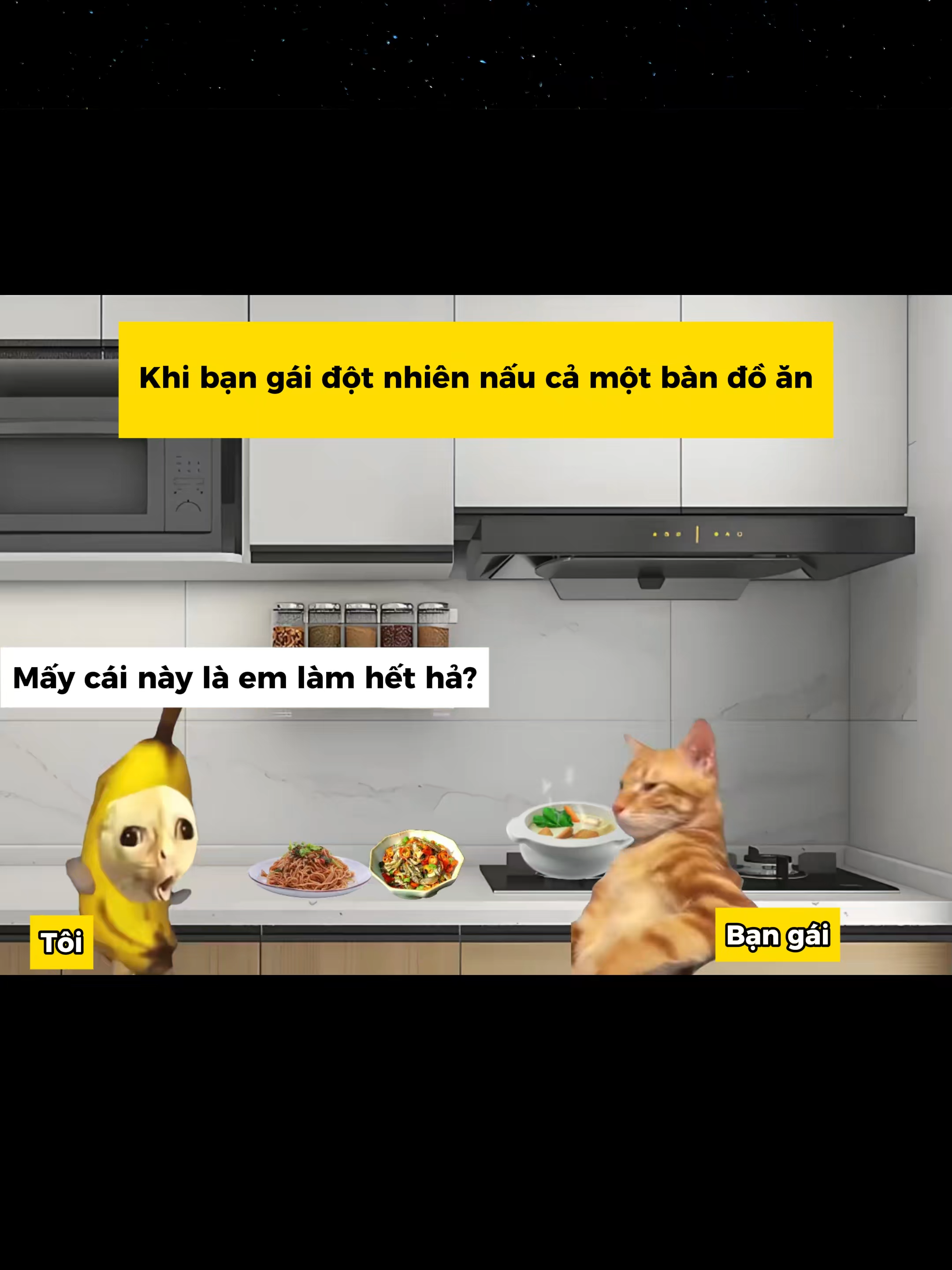 #memes #funny #haihuoc #catmeme #cat