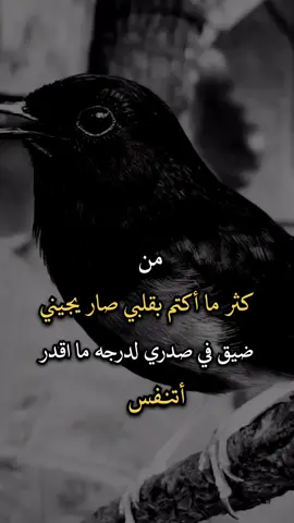 #افضل_عبارة_لها_تثييت، #عباراتكم_الفخمه📿📌 #اجمل_عبارة_راح_ثبتها📌 