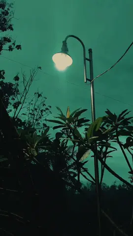 setenang ini kah😇 #danuartadf #stnyell #sabilutaubah #simtudduror #fyp 