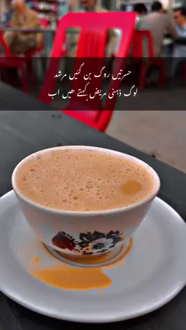 #میانوالی_سرائیکی #pleaseunfrezzemyaccount #pleasegoviral #foryoupage #niazi333 