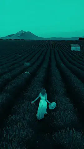 1:58.PM Wadnaha Iyidhi 🥺🧡 #soamalitiktok #jawibila🌊❤️🌴  #qamar_sugaani #songlyrics 