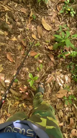 Let’s go🐿️🐀🕊️ #นิยมไพรไม่ทําลายรักษาใช้ประโยชน์ยั่งยืน #ฝึกหัด #fyp 