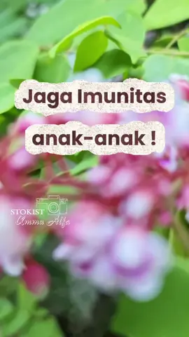 #fyp #stokismcionemore #stokismci #transdermalpatch #immunebooster 