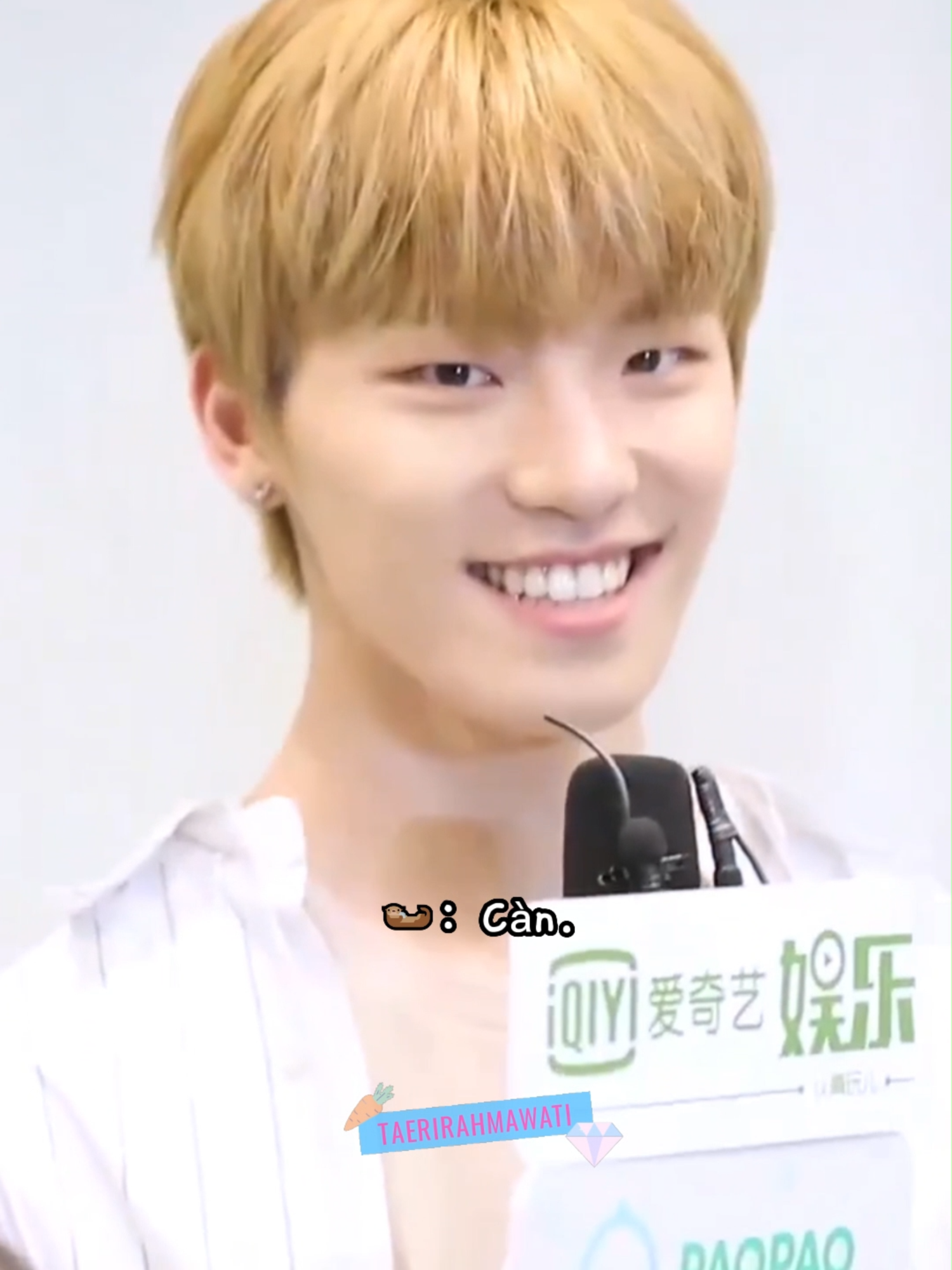 seventeen pronouncing their chinese name flawlessly 😭😆 #seventeen #seventeen17_official #kpop #kpopfyp #fyp #fypシ