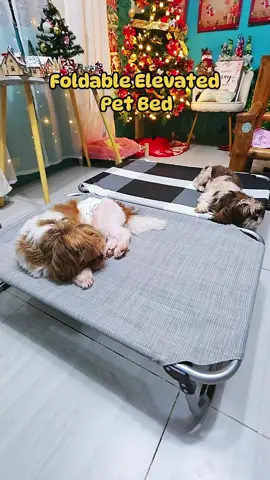 Foldable Elevated Pet Bed #elevatedpetbed #petbed #petfoldablebed #foldingbed #dogsoftiktok 