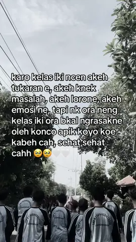 Sehat sehat koncoku🥹#8c #snikarbisa 