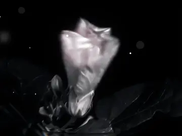 vừa hay hết cái nghịch =))) @Matcha latte 🍵 #nagumoyoichi #aeline_grp #yiwegr #resekergrp #knl_grp 