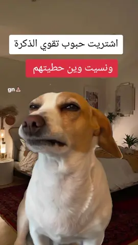 #Meme #MemeCut #CapCut #الشعب_الصيني_ماله_حل😂😂 #fopppppppppppppppppppppppppppppppppppppp 
