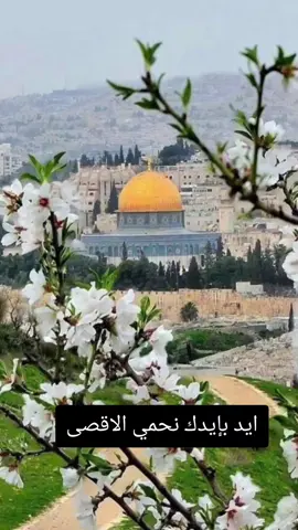 ايد بإيدك نحمي الأقصى #fyp #viral #explorer #foryoupag 