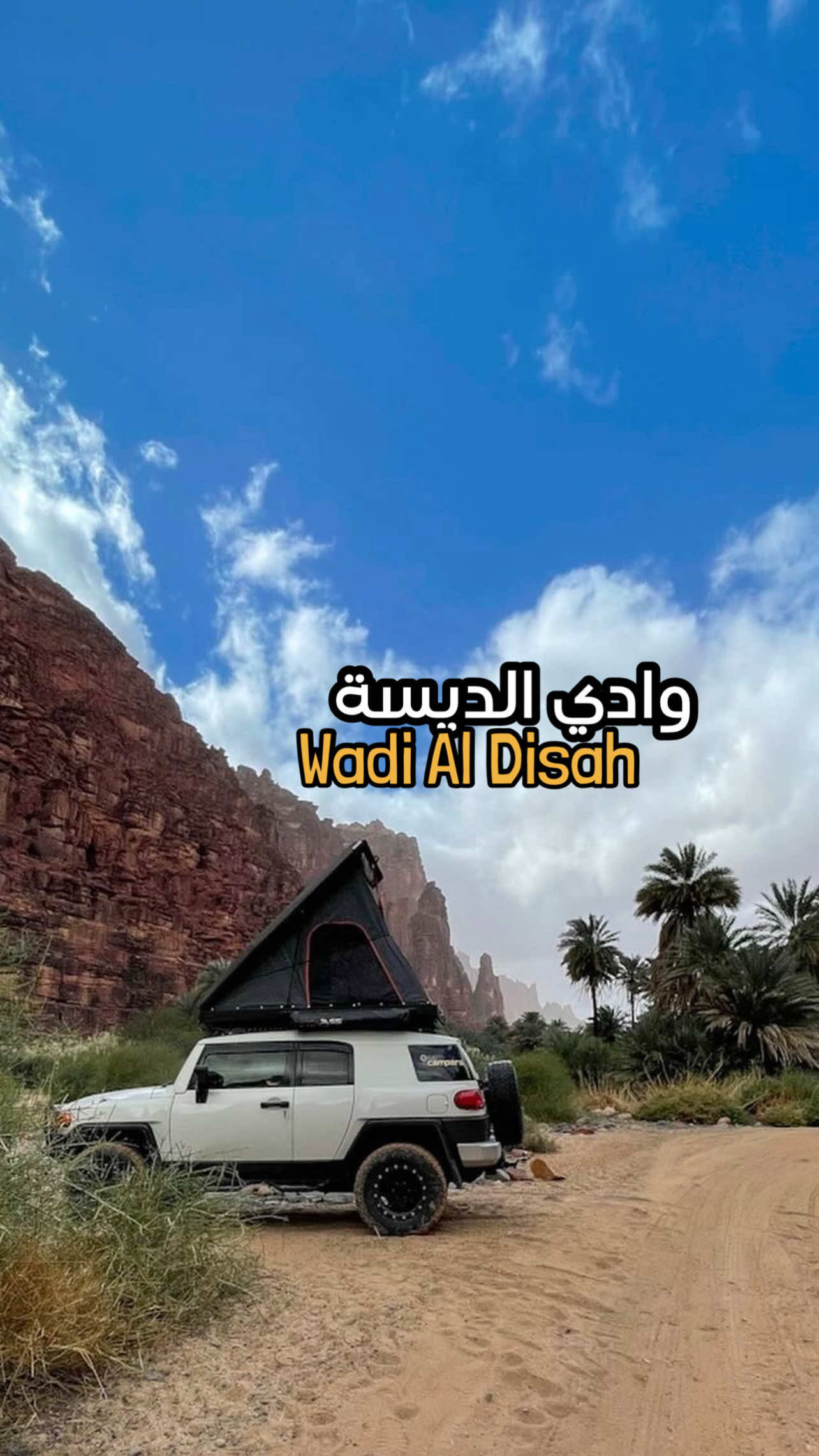 وادي الديسة #تبوك  #اكسبلور #explore #الشتاء #وادي_الديسة 