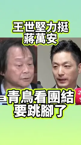 王世堅力挺蔣萬安！再現名場面「離情依依」！網友：青鳥看團結要跳腳了！#王世堅 #蔣萬安 #政話談 #青鳥  