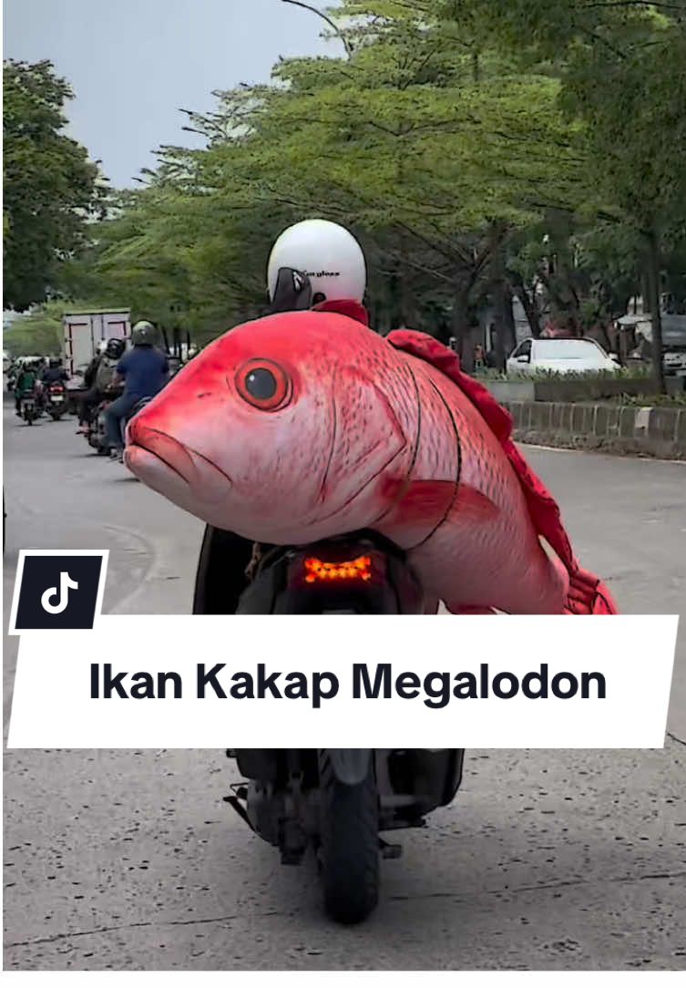 Pulang mancing dapet kakap segede gaban nih 🤭😍 #ikankakap #kakapjumbo #bantalikan #bantaljumbo #bizzarpillow 