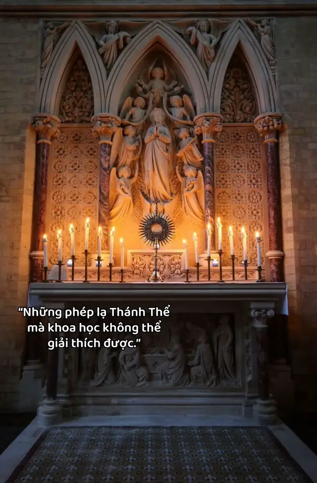 “Chính Chúa Giêsu hiện diện thật trong Bánh và Rượu. Đừng tìm Ngài ở nơi xa xôi.” – Thánh Catarina thành Siena –#catholic #conggiao #xuhuong #fyp #thanhthe 