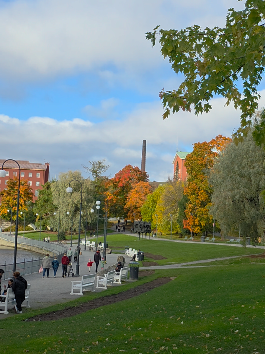 Tammerkoski dressed in autumn’s golden charm 🍂💛   📍 Tampere, Finland   Follow for more Finnish stories! ❤️✨   IG: @intosuomi | TikTok: @intosuomi | YouTube: intosuomi   #tampere #sinullesivu #tiktoksuomi #keskusta #syksy 