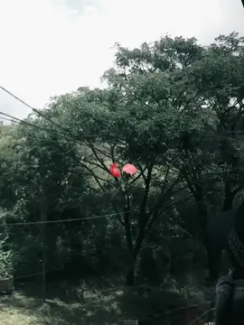 😌#fyppppppppppppppppppppppp 