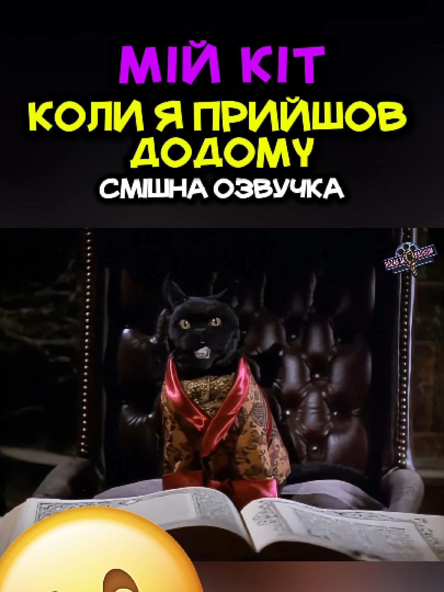 У вас так само? 😃 #топозвучка #смішнівідео #переозвучка #смешнаяозвучка #українськаозвучка #озвучка #базарзакадром #кот #кошка #котэ #домашниеживотные #домашниепитомцы #дом #уютныйдом #приколи #мем #смехдослёз