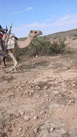 @Jama Deperani @Dek-arab @Xafso kornyl🇸🇱🇸🇴 @rag dhaam  in  maxamad 👑🤜♥️ 