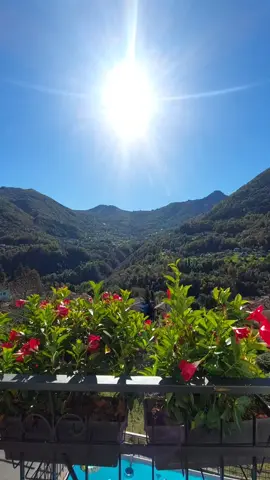 🇮🇹
