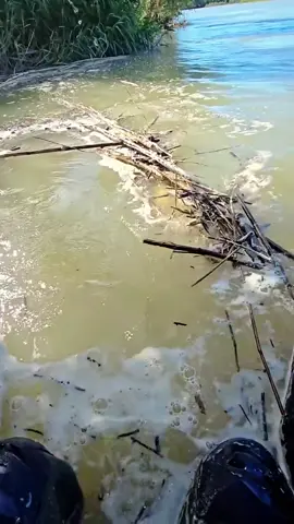 Hàng tuyển🤪#câucá #thínhxả #câucátựnhiên #đammê #thínhxảthơm 