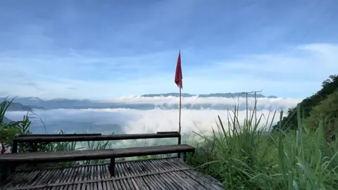 Cứ bình yên ở quê vậy thôi🥰#puluong #thanhhoa 