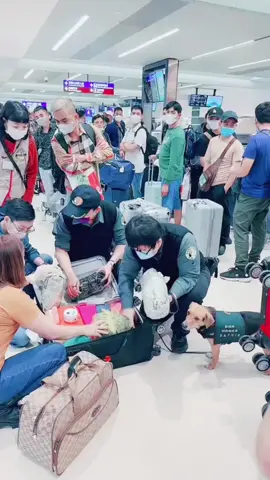 #xuhuongtiktok Taiwan siết chặt kiểm tra  toàn diện hành lý  hành khach nhập cảnh từ 39 Nước gồm Trung Quốc ,Việt Nam sau khi bùng phát dịch tả lợn châu phi.